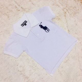 Áo polo