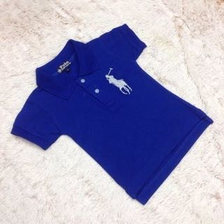 Áo polo