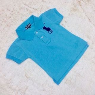Áo polo