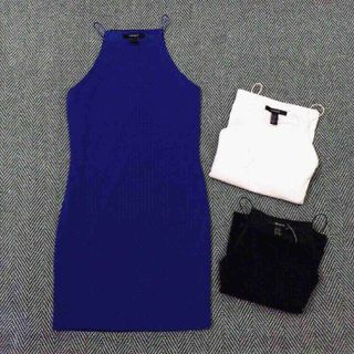 Dam f21