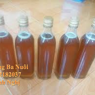 Mật ong hoa cà phê đaklak chai thủy tinh 500ml giá sỉ