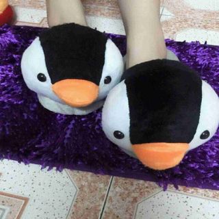 Dep bong di trong nha free size dai 26cm 60k