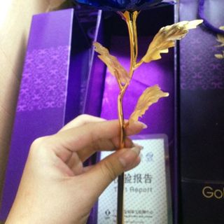 Hoa hồng mạ vàng 24k