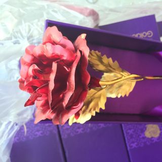 Hoa hồng mạ vàng 24k