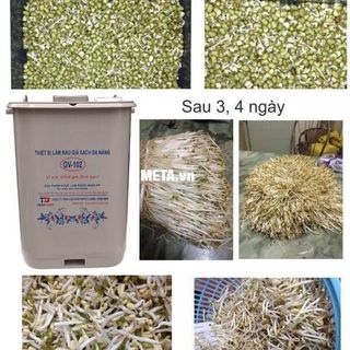 Máy làm giá đỗ đa năng gv-102