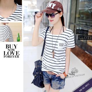 Giá sỉ 45k áo thun nữ tay ngắn - 0831