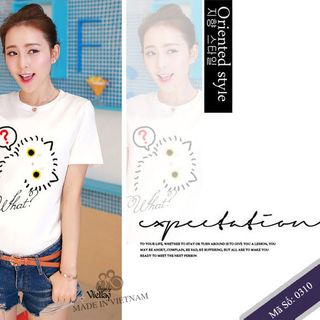 Giá sỉ 45k áo thun nữ tay ngắn - 0310