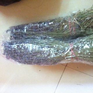 Hoa lavender