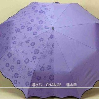 Ô dù nở hoa khi gặp nước