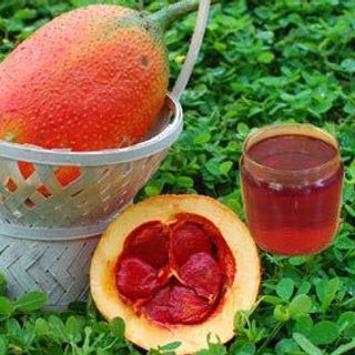 Dầu gấc tự làm