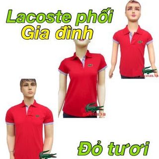 Áo cá sấu phối gia đình giá sỉ