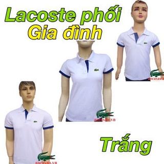 Bộ cá sấu phối cho gia đình