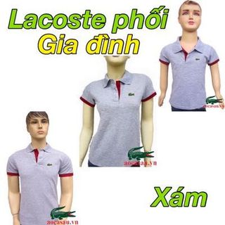 Bộ cá sấu phối cho gia đình