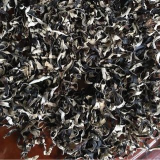 Cung cấp sĩ nấm mèo thái sợi