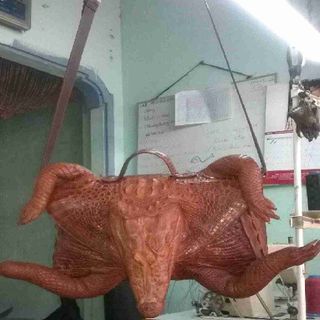 Túi nam da cá sấu hàng độc