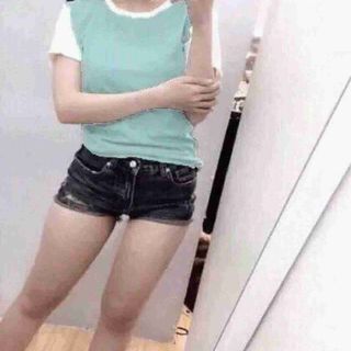 Ao thun 3 màu