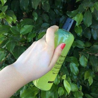Hấp trắng collagen ngọc trai