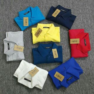 Áo thun nam 100 cotton cá sấu