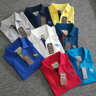 Áo thun nam 100 cotton cá sấu
