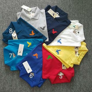 Áo thun nam 100 cotton cá sấu