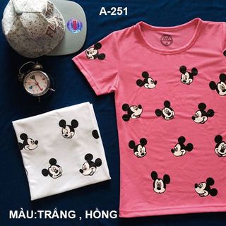 Ao thun nu nhieu mickey