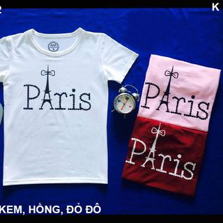 A-222 ao thun paris no 3 mau