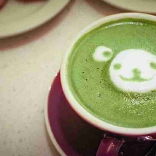 Matcha việt nam