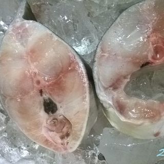 Hải sản tươi sạch phan thiết - cá bớp