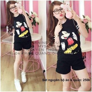 Set bộ mèo mikey