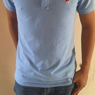 Áo hollister - cá sâu 65/35 4 chiều