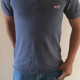 Hollister- cá sấu 65/35 4 chiều
