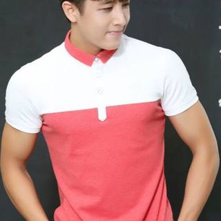 Cá sấu 65/35 4 chiều - áo thun cổ trụ