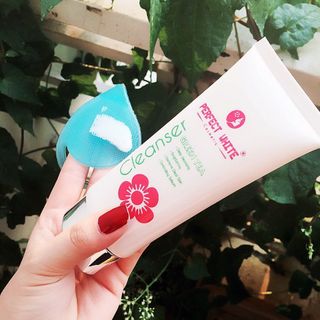 Sửa rửa mặt trà xanh perfect white