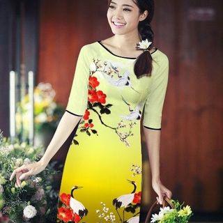 Áo dài cách tân tơ nhung hoạ tiết chim hạt