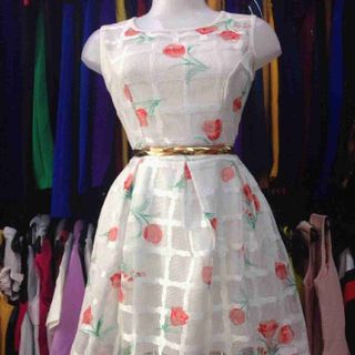 Đầm xoè giá sỉ
