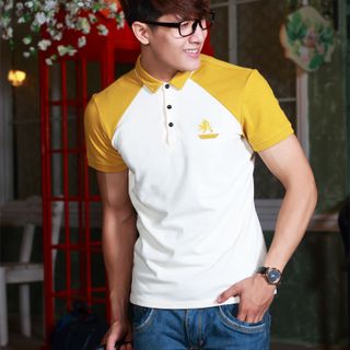 Cá sấu 65/35 4 chiều áo thun độc đáo