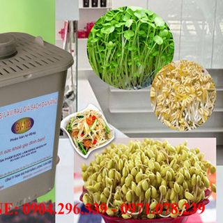 Thiết bị làm giá đỗ đa năng