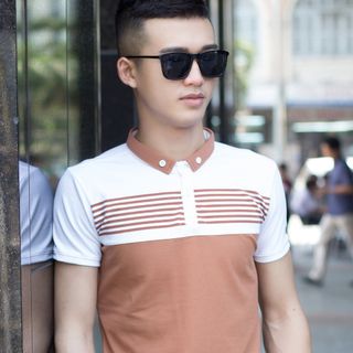 Cá sấu 65/35 4 chiều áo thun