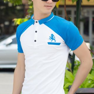 Cá sấu 65/35 4 chiều áo thun