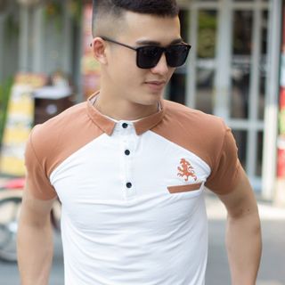 Cá sấu 65/35 4 chiều áo thun