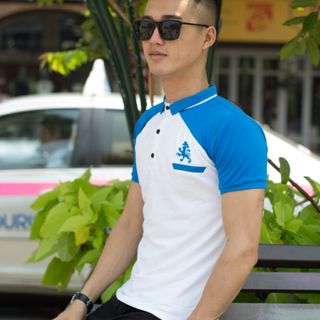 Cá sấu 65/35 4 chiều áo thun