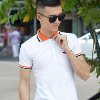 Cá sấu 65/35 4 chiều áo thun