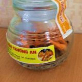 Đông trùng hạ thảo trường an - nhộng tươi