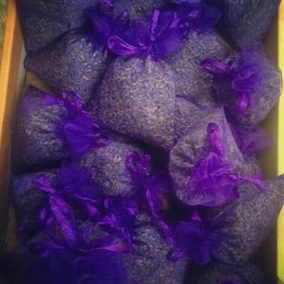 Túi thơm lavender pháp
