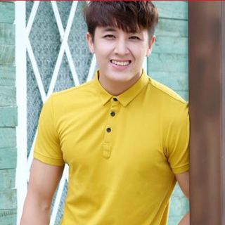 Áo thun cá sấu 65/35 4 chiều