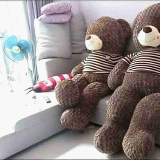 Gấu teddy 1m7 giá sỉ 850k