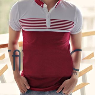 Cá sấu 65/35 4 chiều áo thun