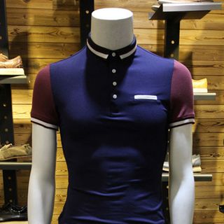 Cá sấu 65/35 4 chiều áo thun