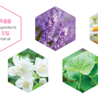 Trị khô làm hồng âm đạo secret daily zone