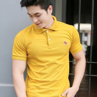 Áo thun nam co giãn giá sỉ